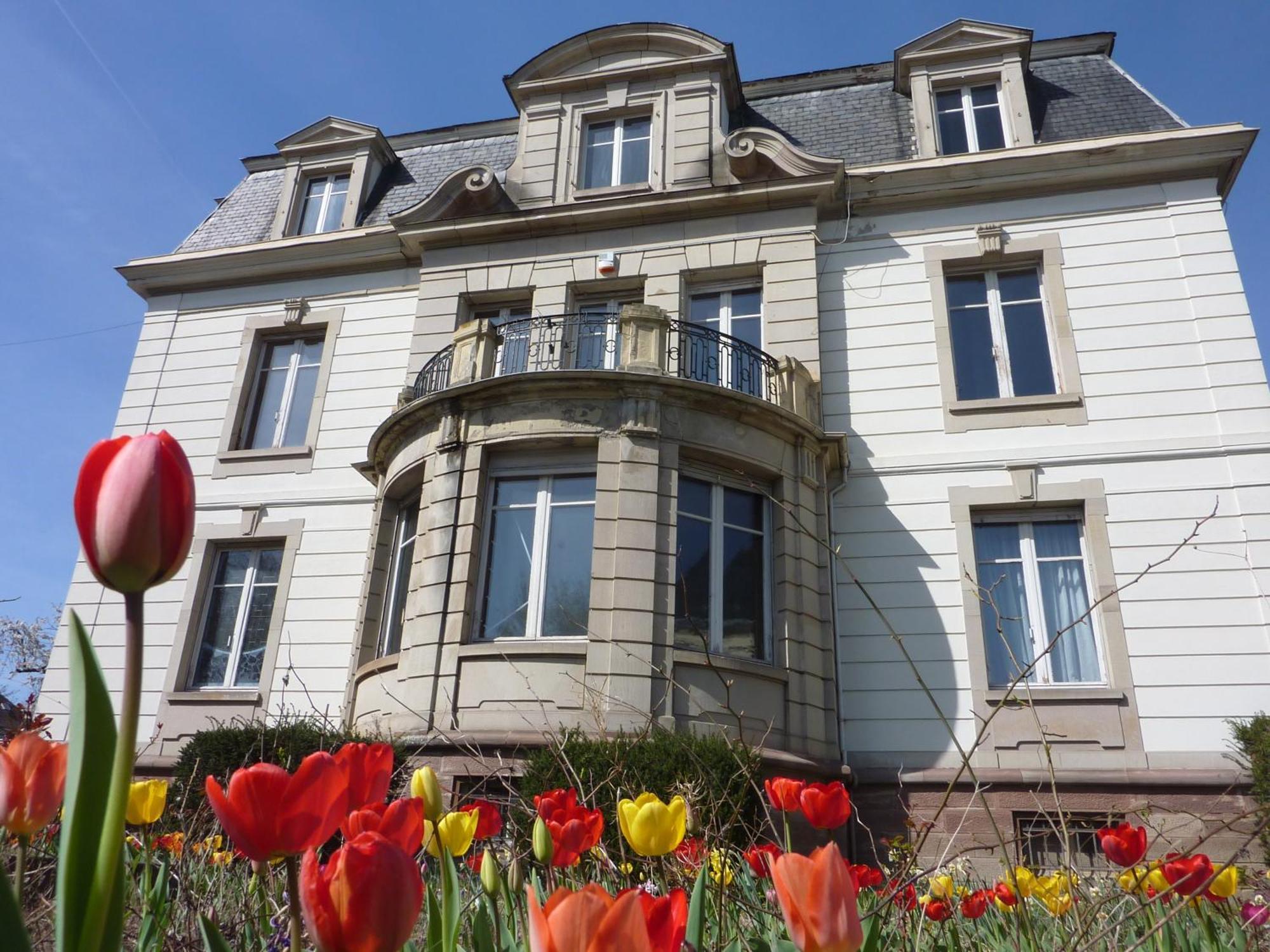Villa Elyane Colmar Zewnętrze zdjęcie